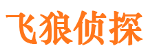 武安市私家侦探